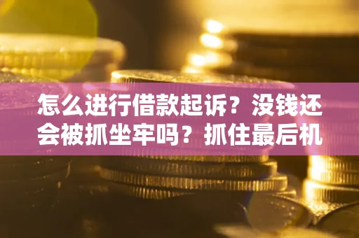 济南怎么进行借款起诉？没钱还会被抓坐牢吗？抓住最后机会！