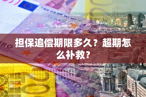 济南担保追偿期限多久？超期怎么补救？