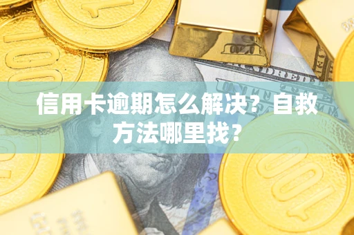 济南信用卡逾期怎么解决?自救方法哪里找? 济南信用卡逾期怎么解决?自救方法哪里找?