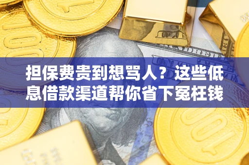 济南担保费贵到想骂人？这些低息借款渠道帮你省下冤枉钱