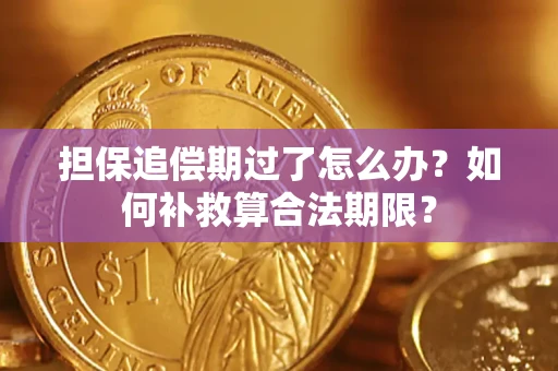 济南担保追偿期过了怎么办？如何补救算合法期限？