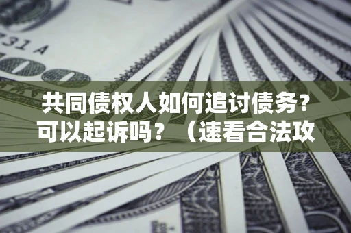 济南共同债权人如何追讨债务？可以起诉吗？（速看合法攻略）