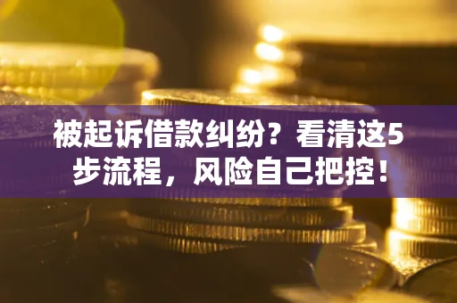 济南被起诉借款纠纷？看清这5步流程，风险自己把控！