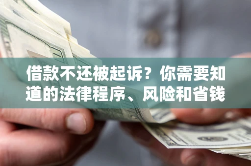 济南借款不还被起诉？你需要知道的法律程序、风险和省钱技巧